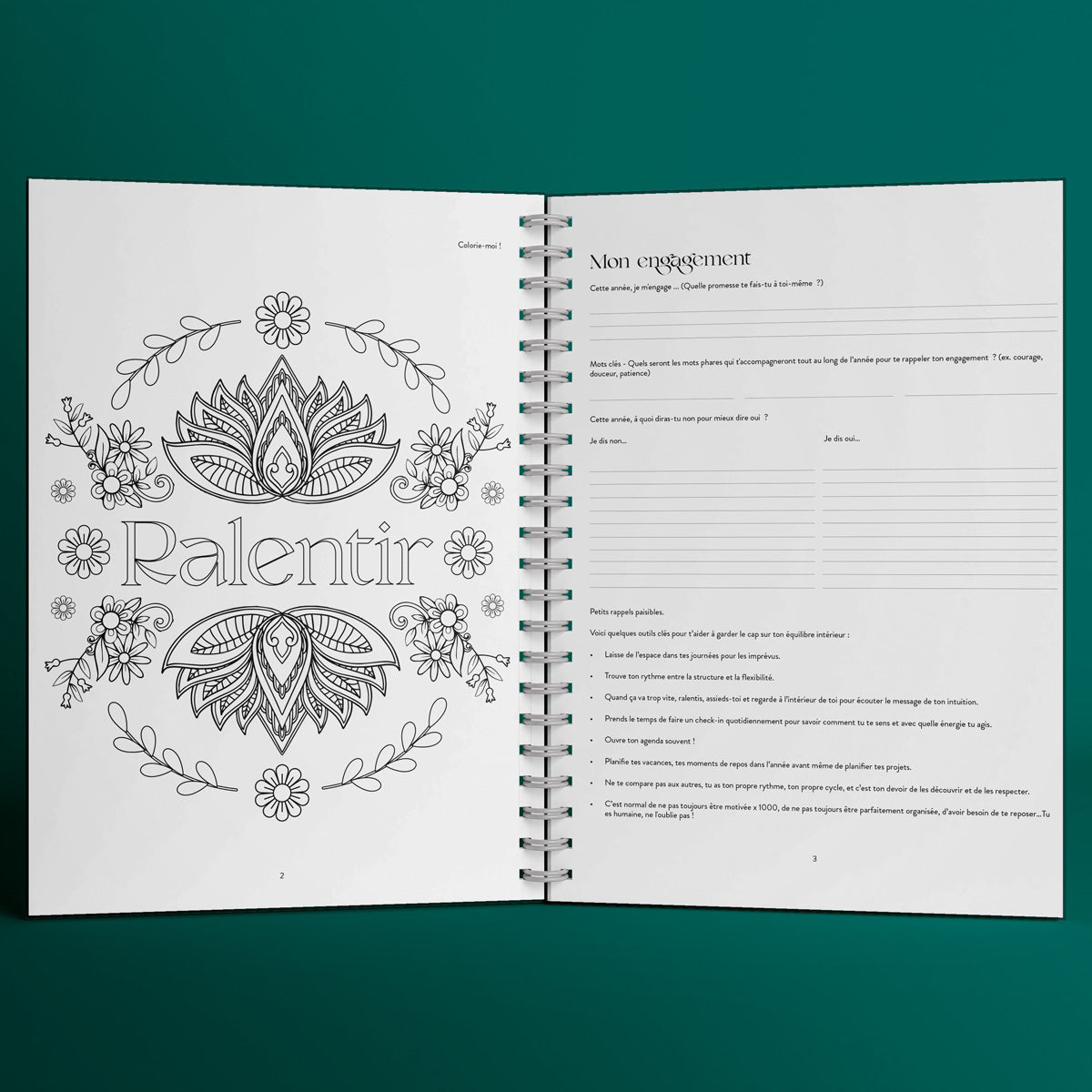Agenda 2026 - Ralentir pour mieux avancer (janvier à décembre)